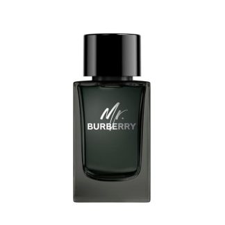 Burberry Mr Burberry Eau de Parfum Unisex Mist  for sale