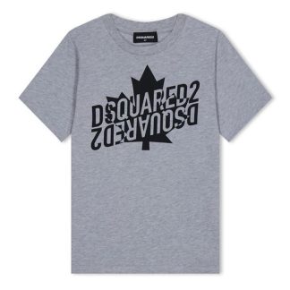 DSQUARED2 DSQ Maple Logo Tee Jn34 Kids Regular Fit T-Shirts Grey DQ979 for sale