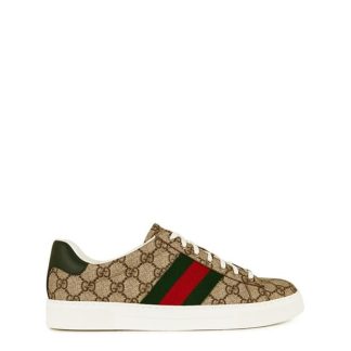 GUCCI Ace Gg Web Sneakers Men Beige Ebony Gg  for sale