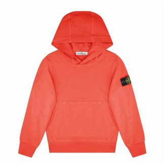 STONE ISLAND Boy'S Badge Oth Lightweight Hoodie Kids OTH Hoodies Carallo V0036 for sale