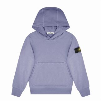 STONE ISLAND Boy'S Badge Oth Lightweight Hoodie Kids OTH Hoodies Glincine V0088 for sale