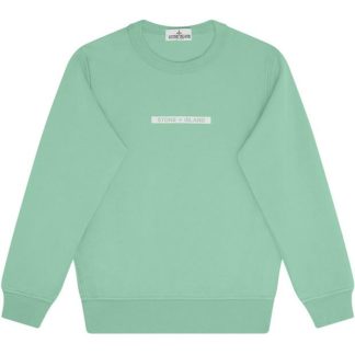 STONE ISLAND Boy'S Micro Graphic Crew Sweatshirt Kids Crew Sweaters Acqua V0044 for sale