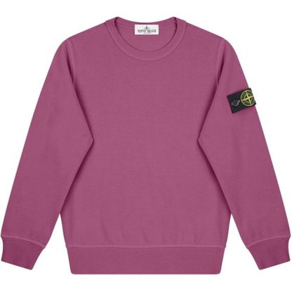 STONE ISLAND Crew Neck Sweatshirt Kids Crew Sweaters Ciclamno V0087 for sale