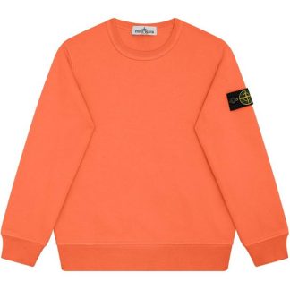 STONE ISLAND Stone Badge Crew Hw Jn44 Kids Crew Sweaters Arancio V0032 for sale